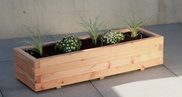 Sib.Lärchenblumenkasten 40x120 Milano