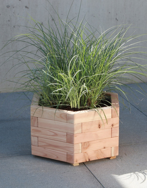 Blumenkasten DUO 60 er sib. Lärche