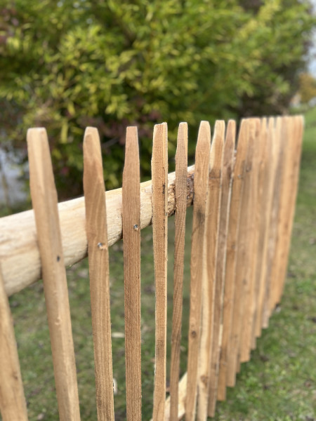 Zaunlatten Robinie Staketen lose