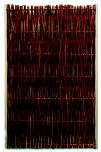 Sichtschutz Weide Weidenzaun